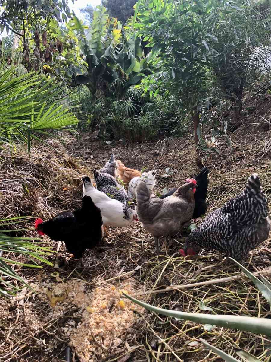 Back to La Tierra Home 10