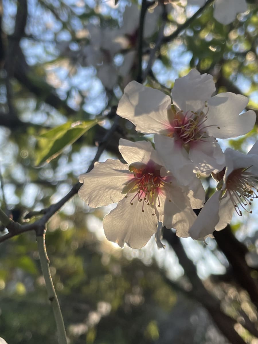 Back to La Tierra Home 12