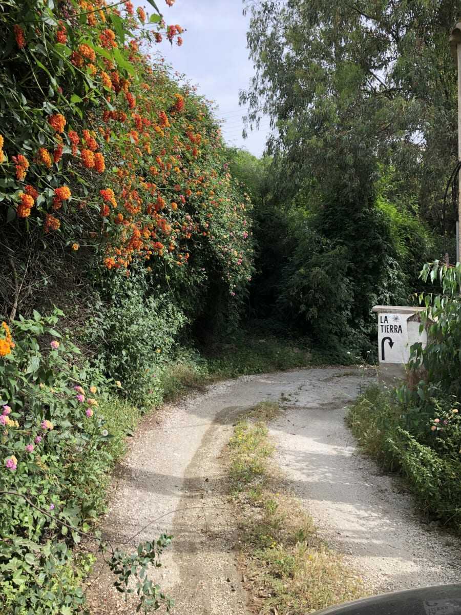 Back to La Tierra Home 2