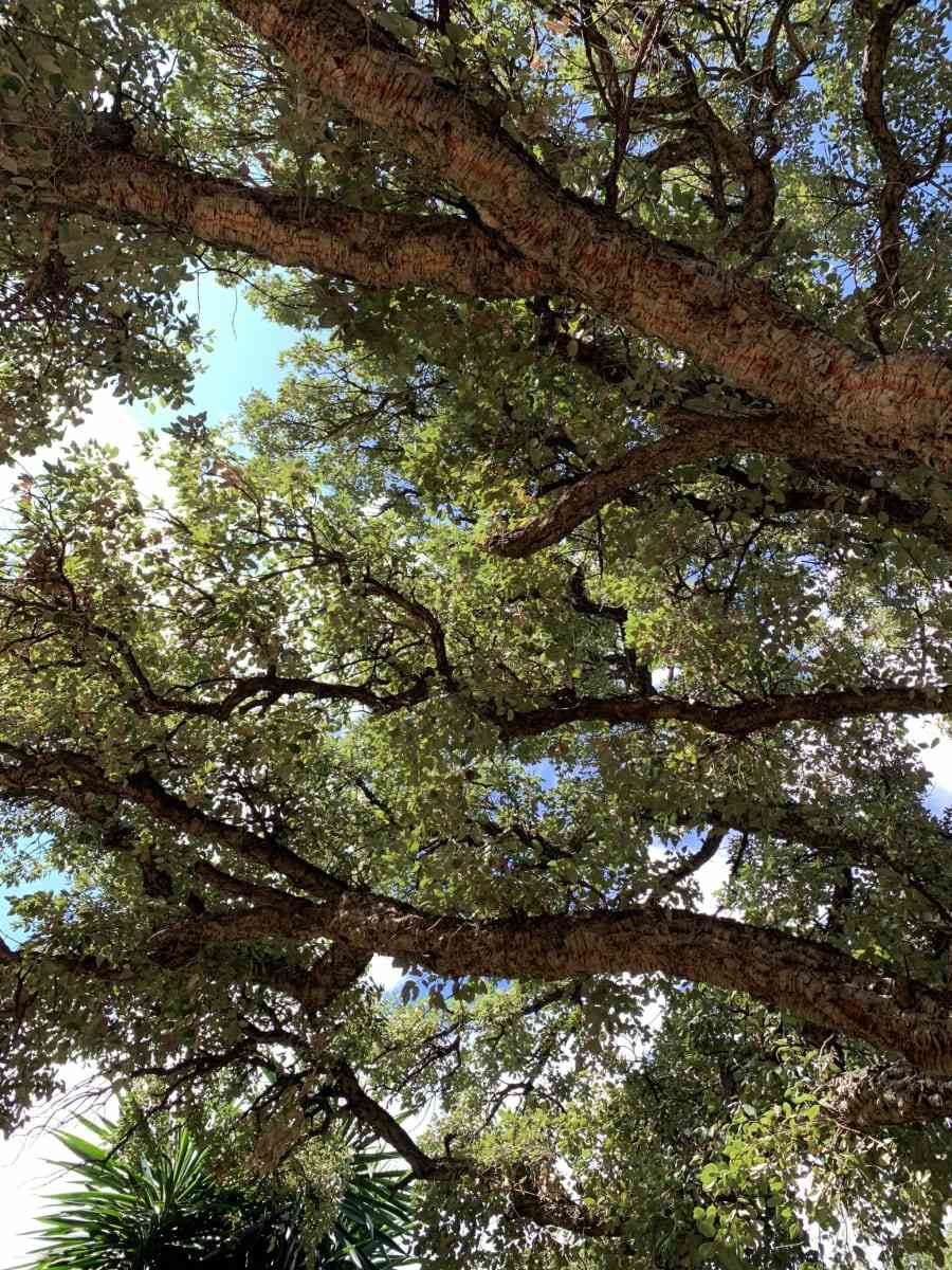 Back to La Tierra Home 4