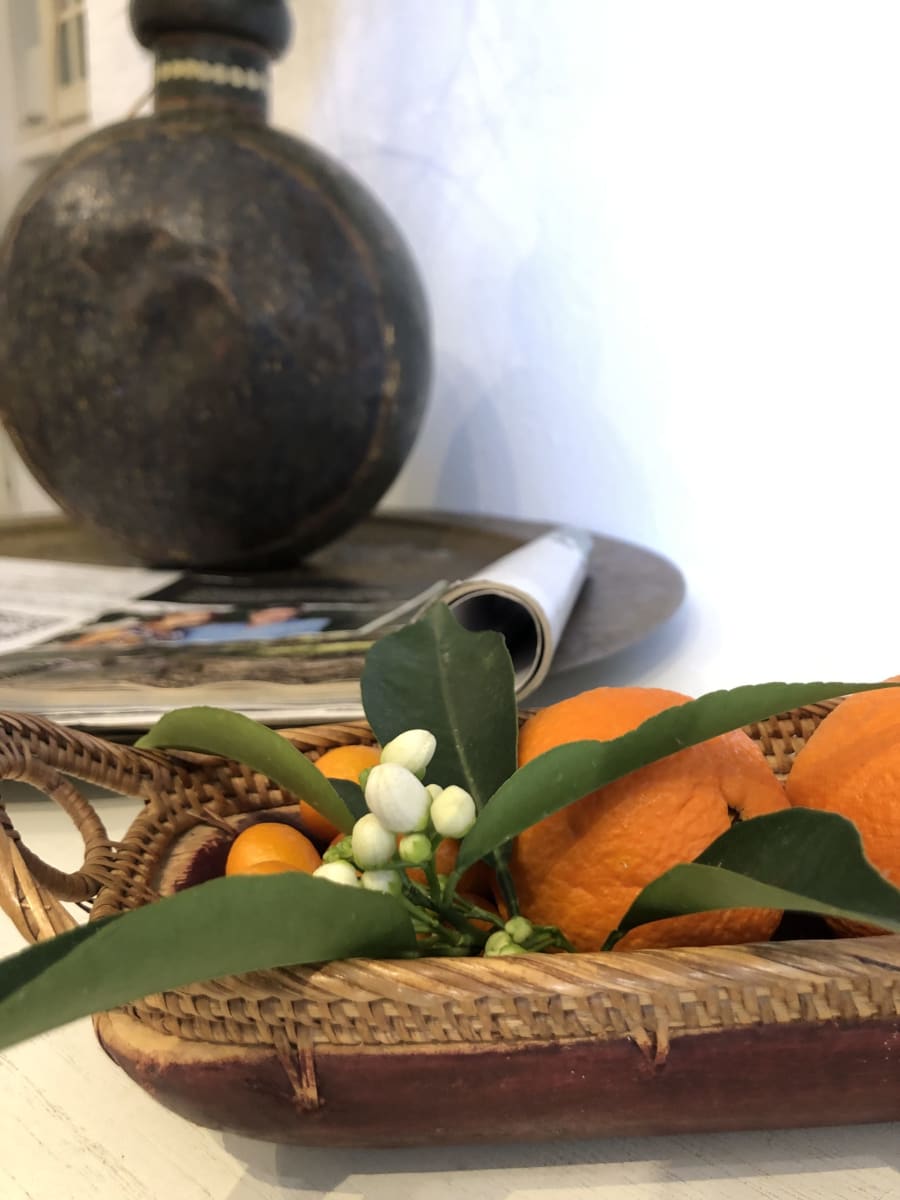 Back to La Tierra 38