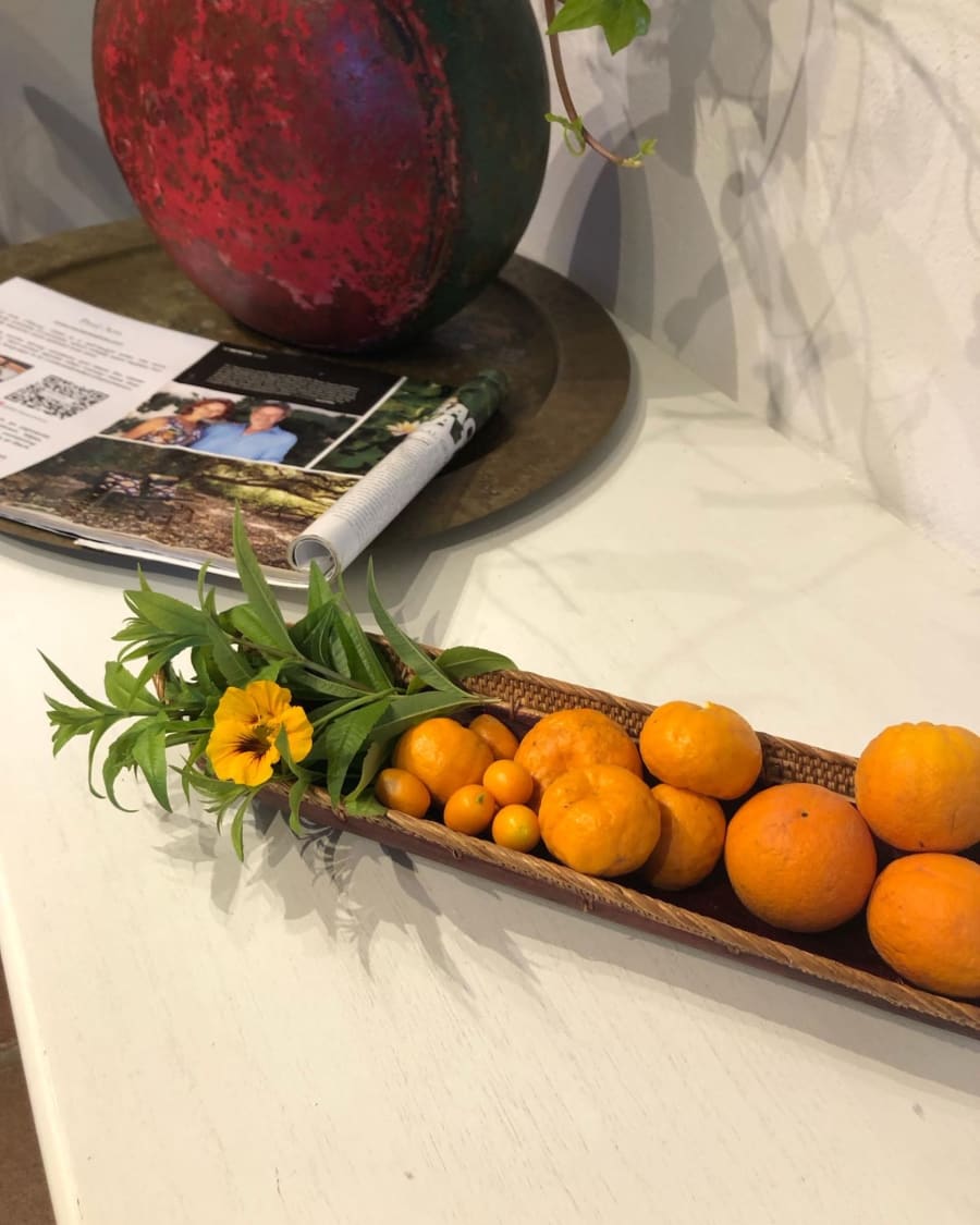 Back to La Tierra 44