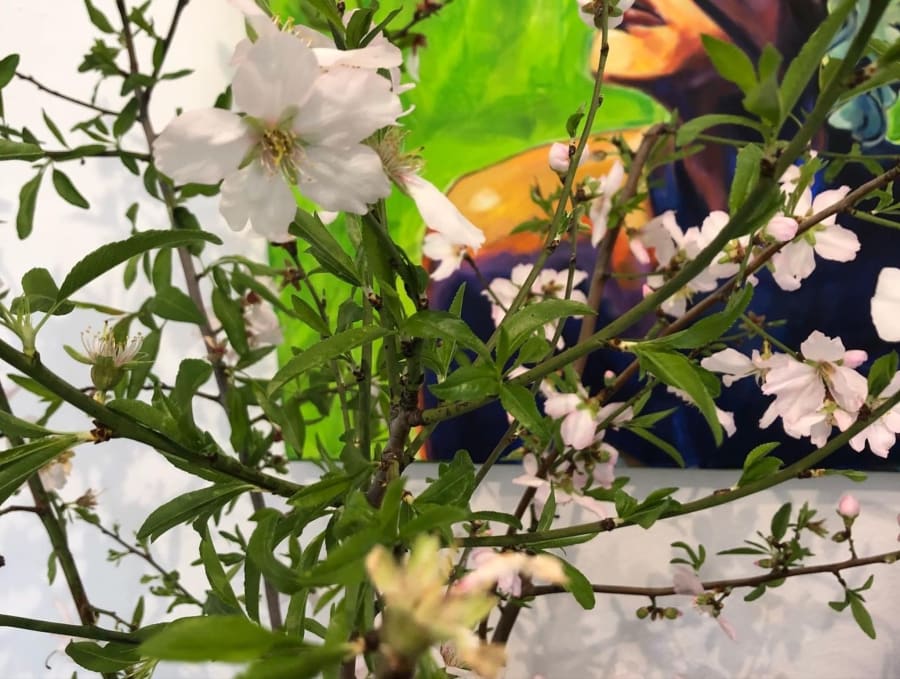 Back to La Tierra 45