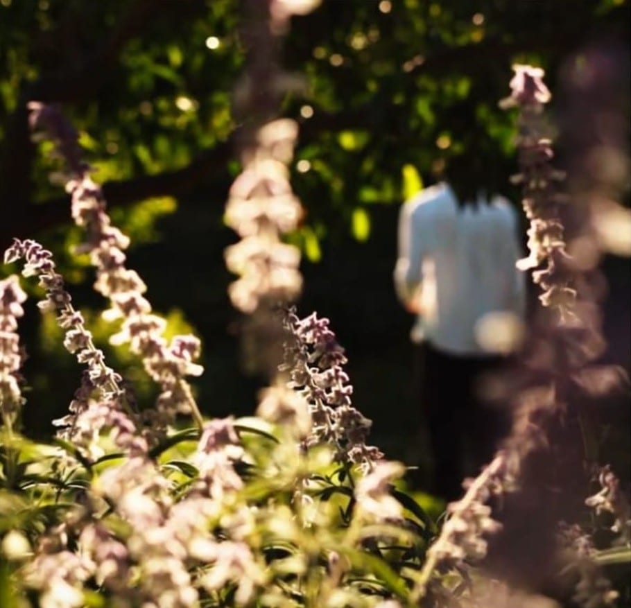 portada movil Back to La Tierra